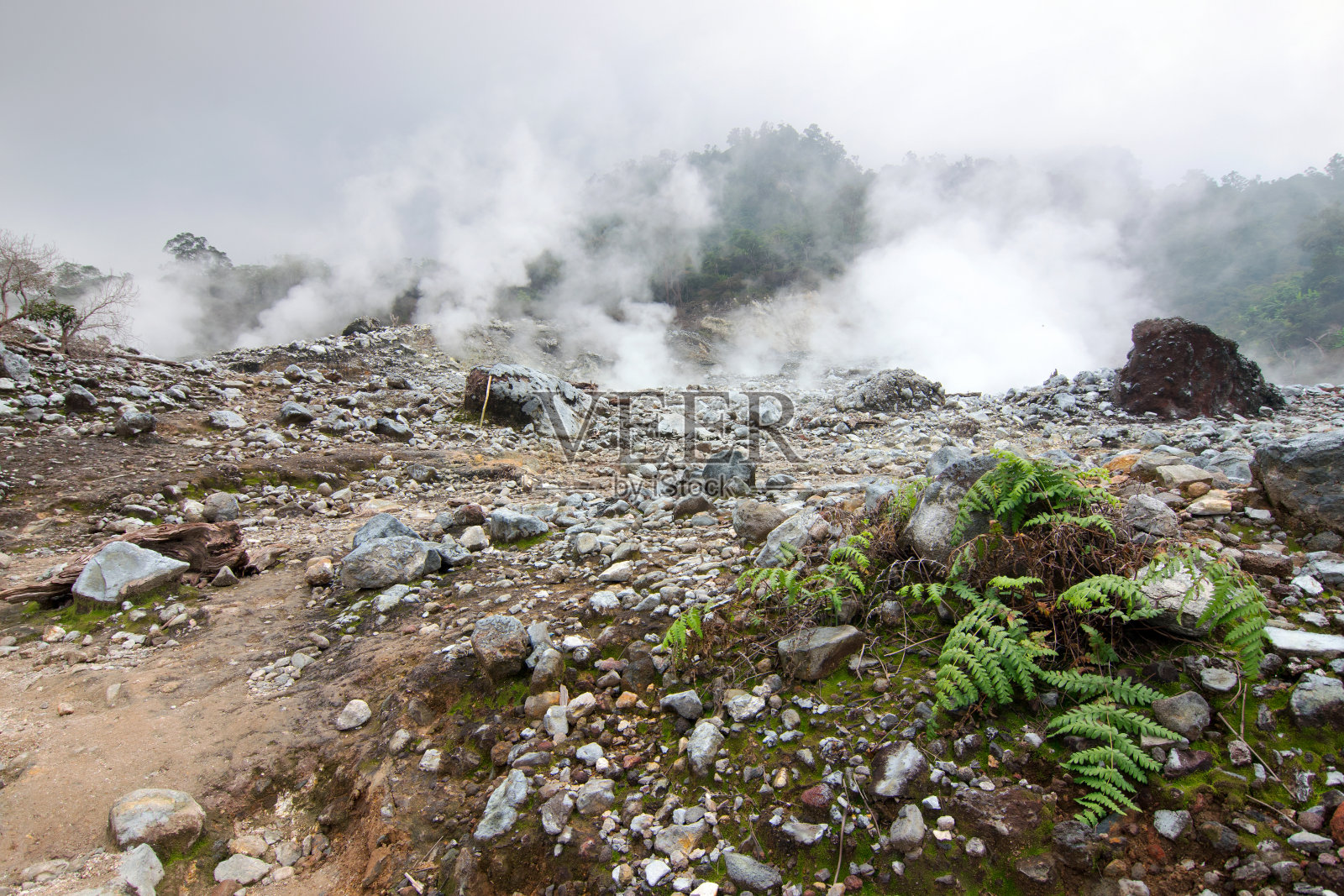 女王坑坑照片摄影图片
