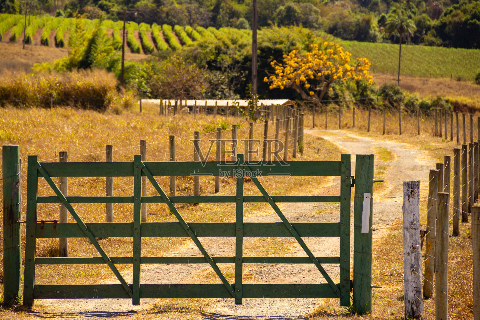 农场入口。照片摄影图片