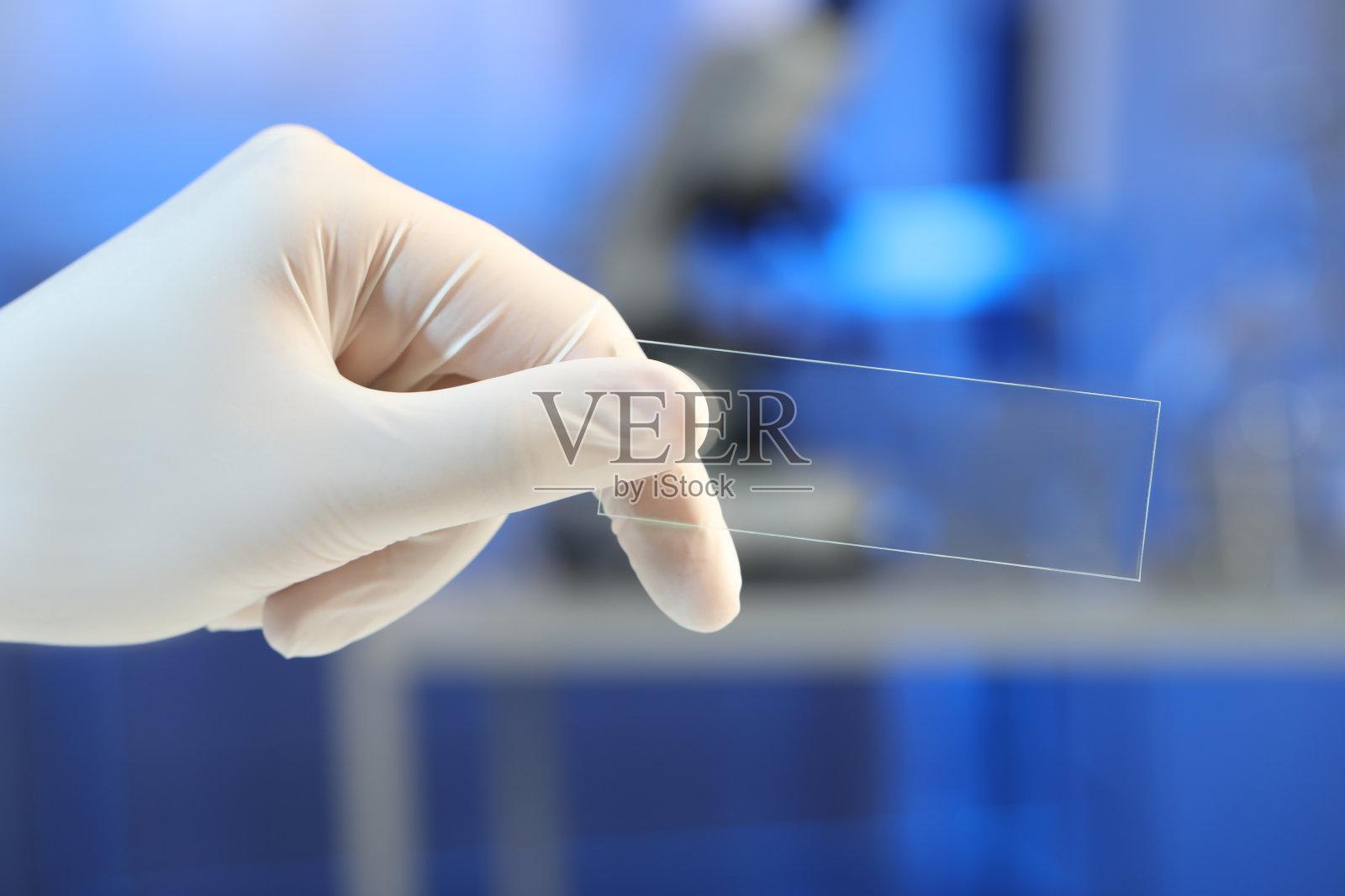 科学家在实验室中手持干净的玻璃显微镜载玻片，特写照片摄影图片