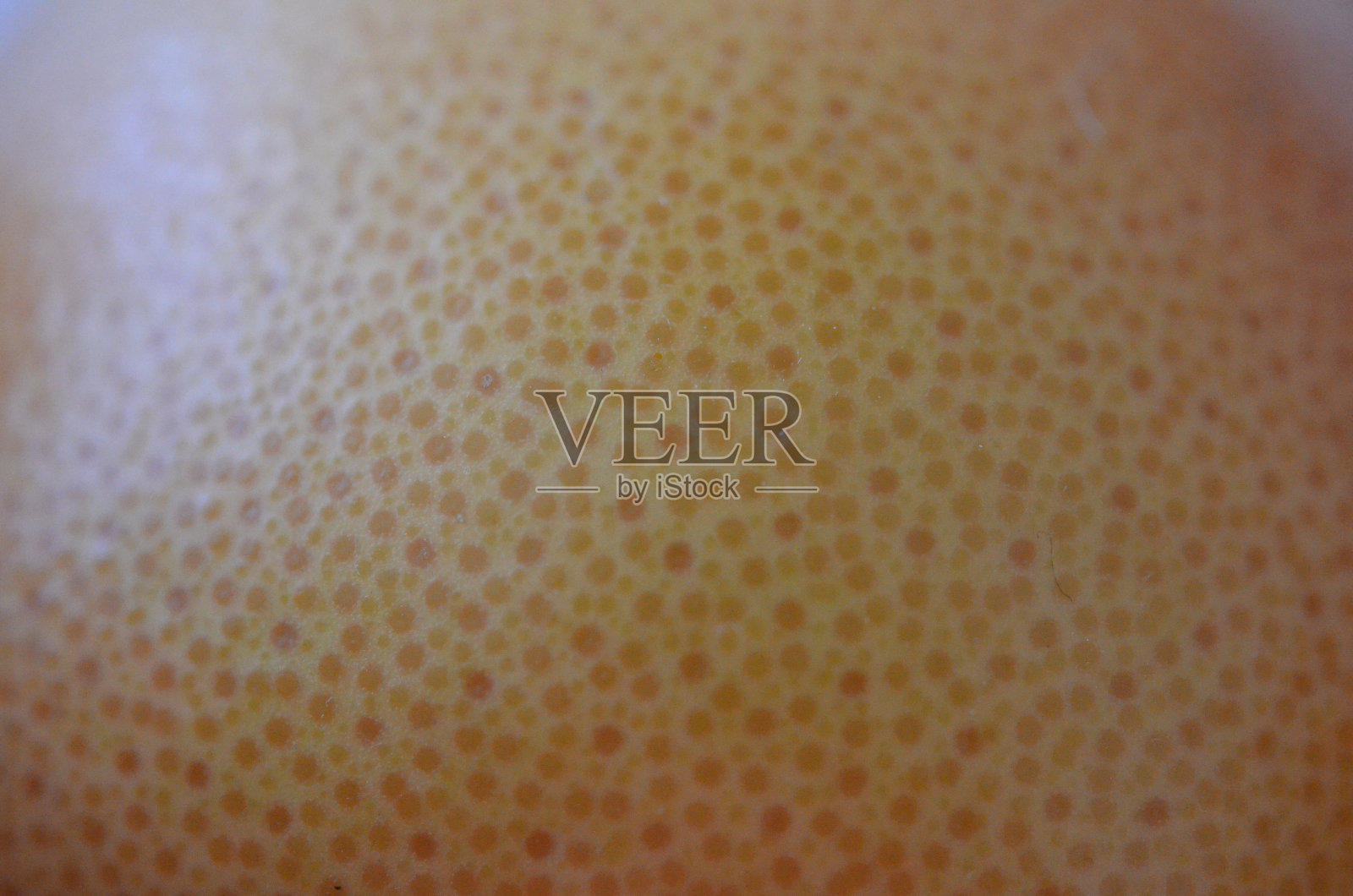 植物是朋友照片摄影图片