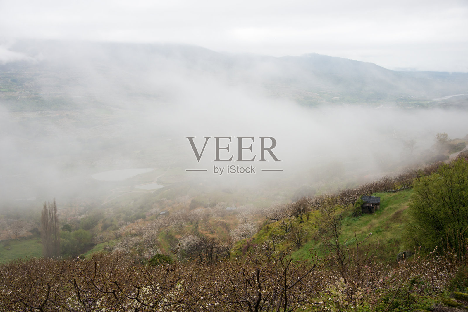 美丽的多雾山谷的景色照片摄影图片