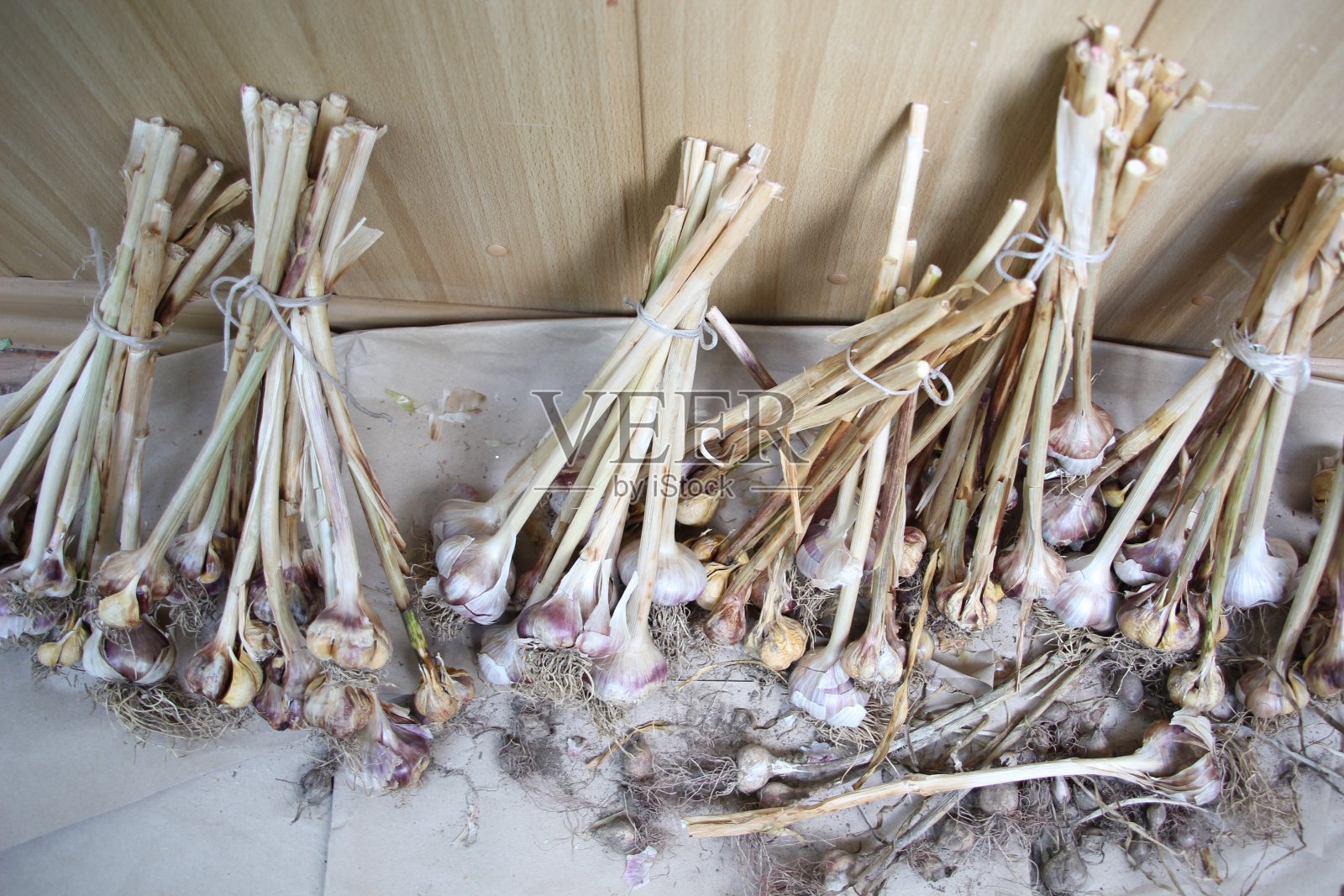 一串干燥的大蒜在纸上晾干照片摄影图片