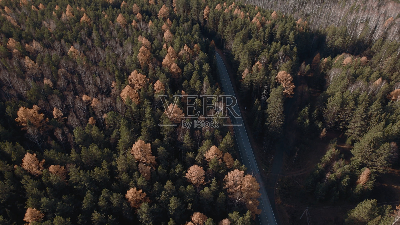 乌拉尔秋天的森林之间弯弯曲曲的柏油路照片摄影图片