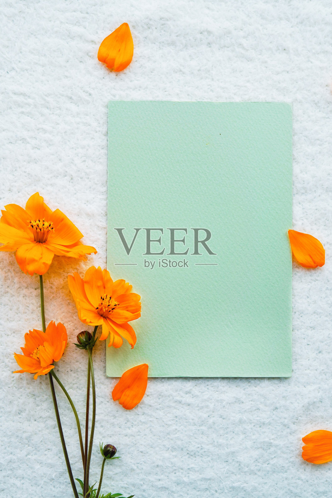 评论空间模型装饰与橙色的宇宙花朵在柔软的白色背景，可爱的秋天形象垂直照片摄影图片