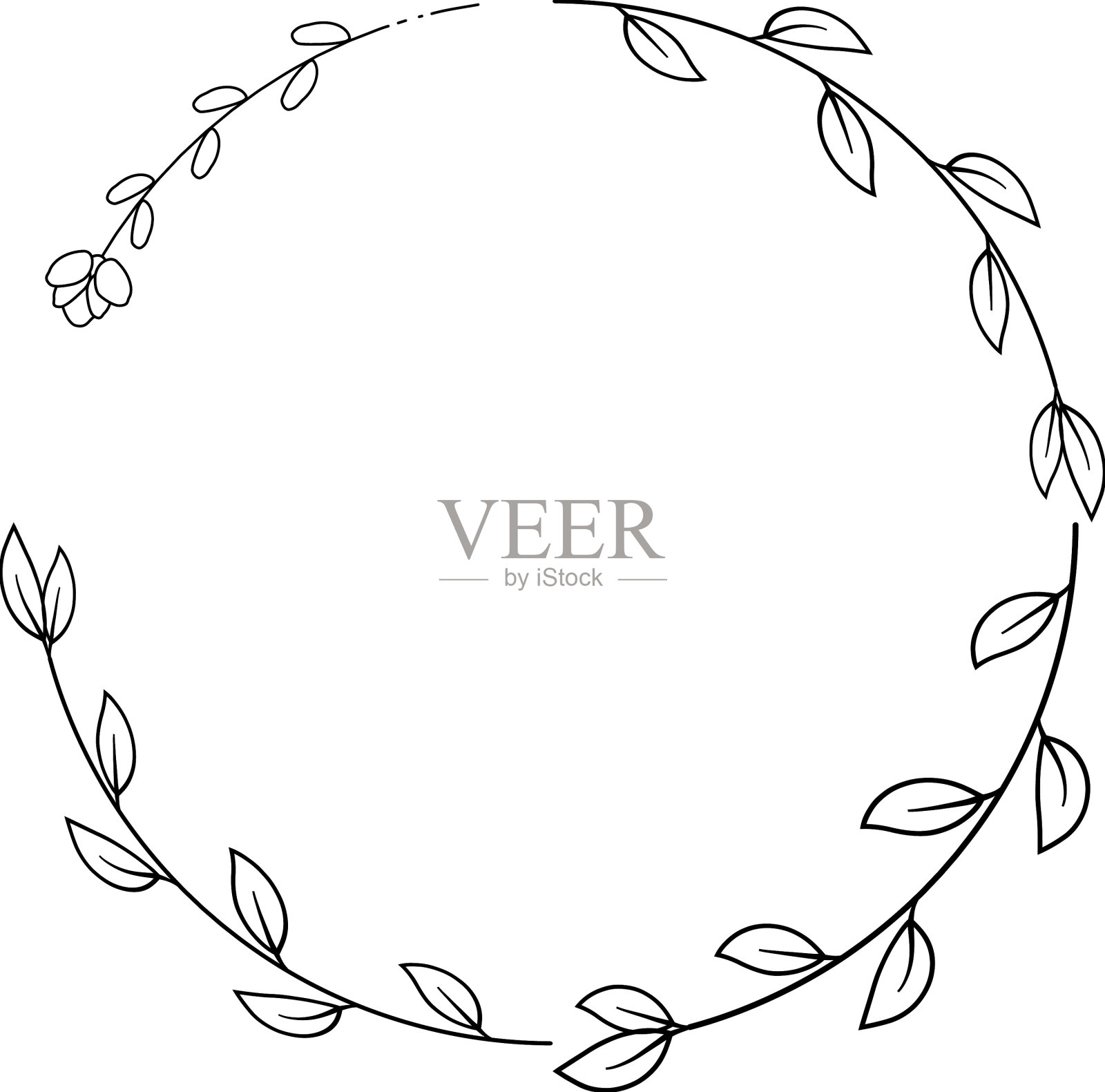 放射状框架植物插画图片素材