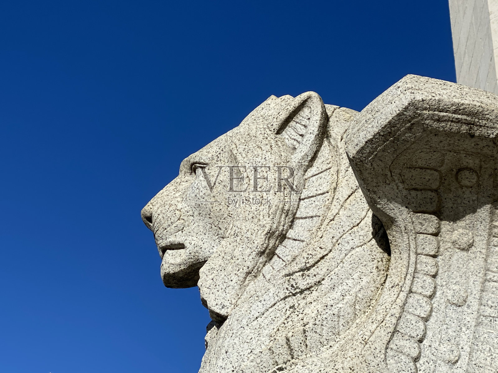 福维埃圣母院大教堂上的狮子片照片摄影图片