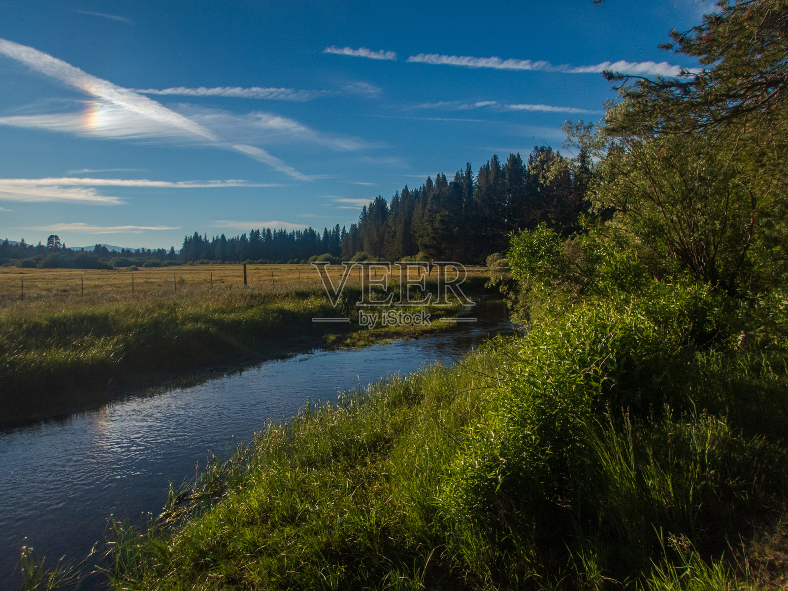 黄金时段的特拉基河上游和约翰逊草地，照片摄影图片