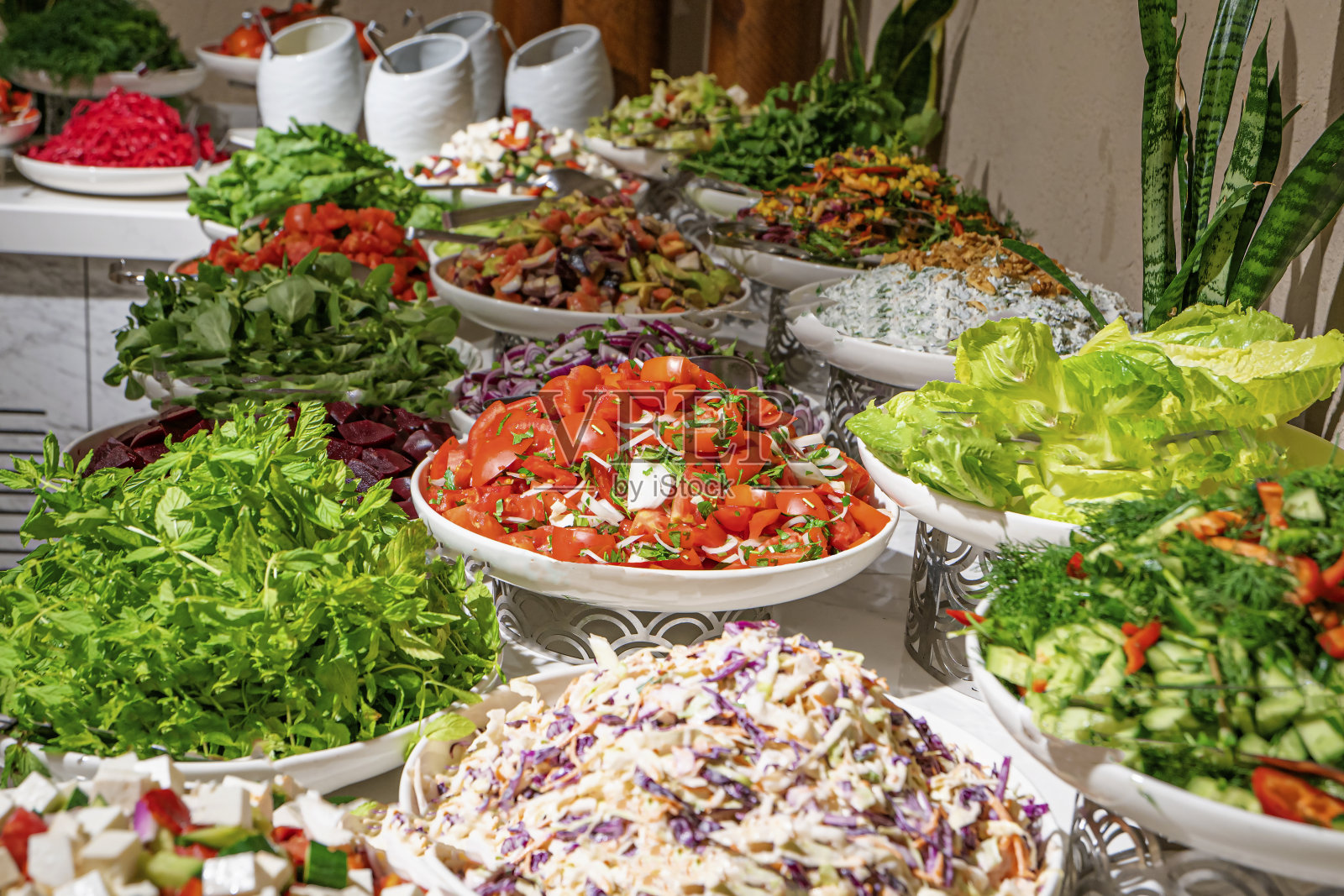 新鲜美味的西红柿和沙拉照片摄影图片