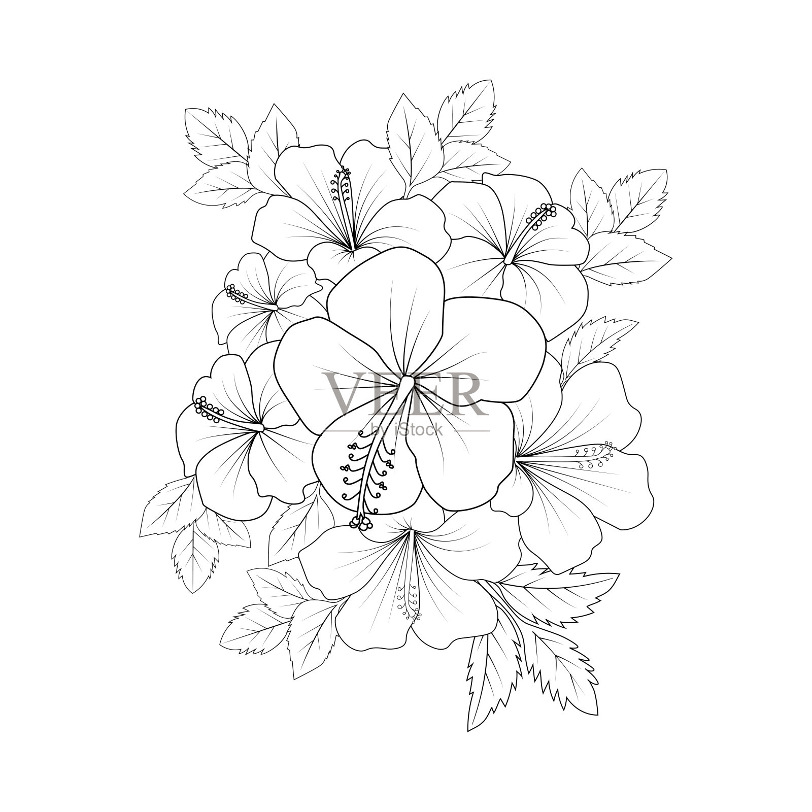 黄色木槿花着色页线绘制与打印模板儿童和成人插画图片素材