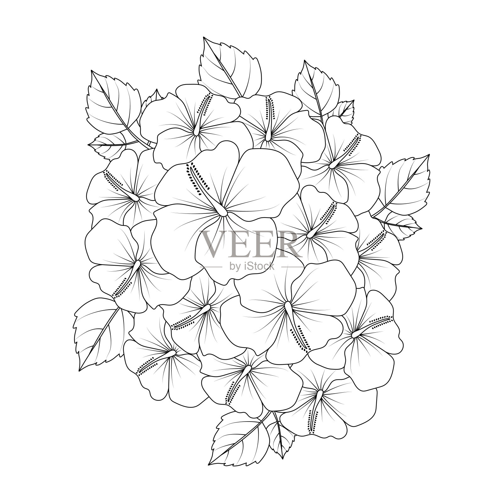 沙伦玫瑰花朵涂鸦线条艺术着色书页面矢量图形设计插画图片素材