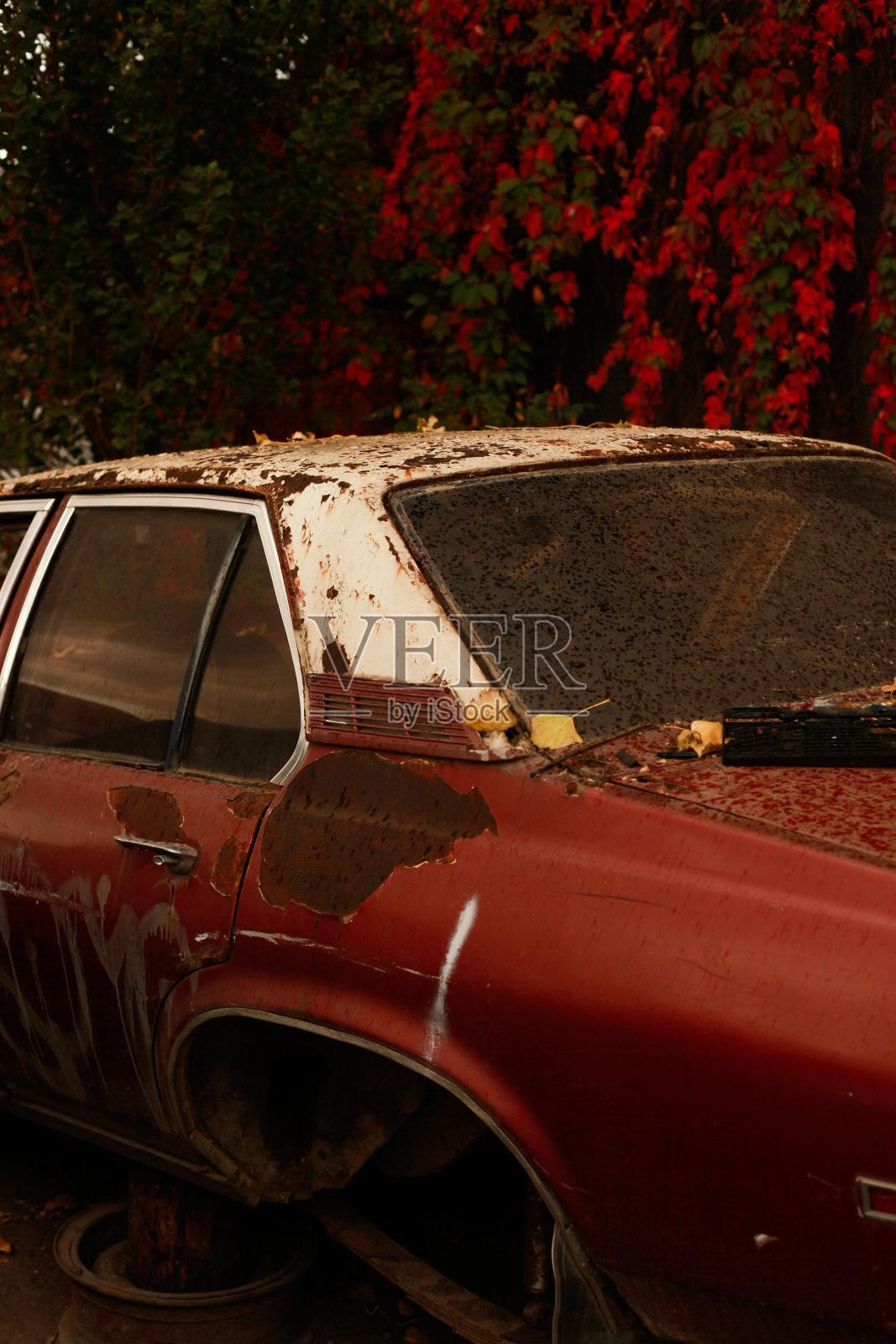 废弃的汽车照片摄影图片