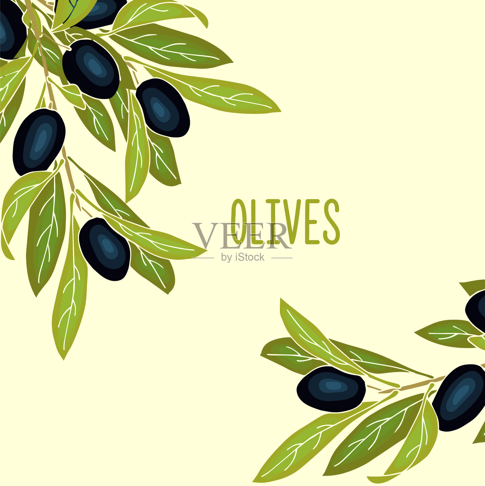橄榄旗帜背景与成熟的橄榄浆果插画图片素材