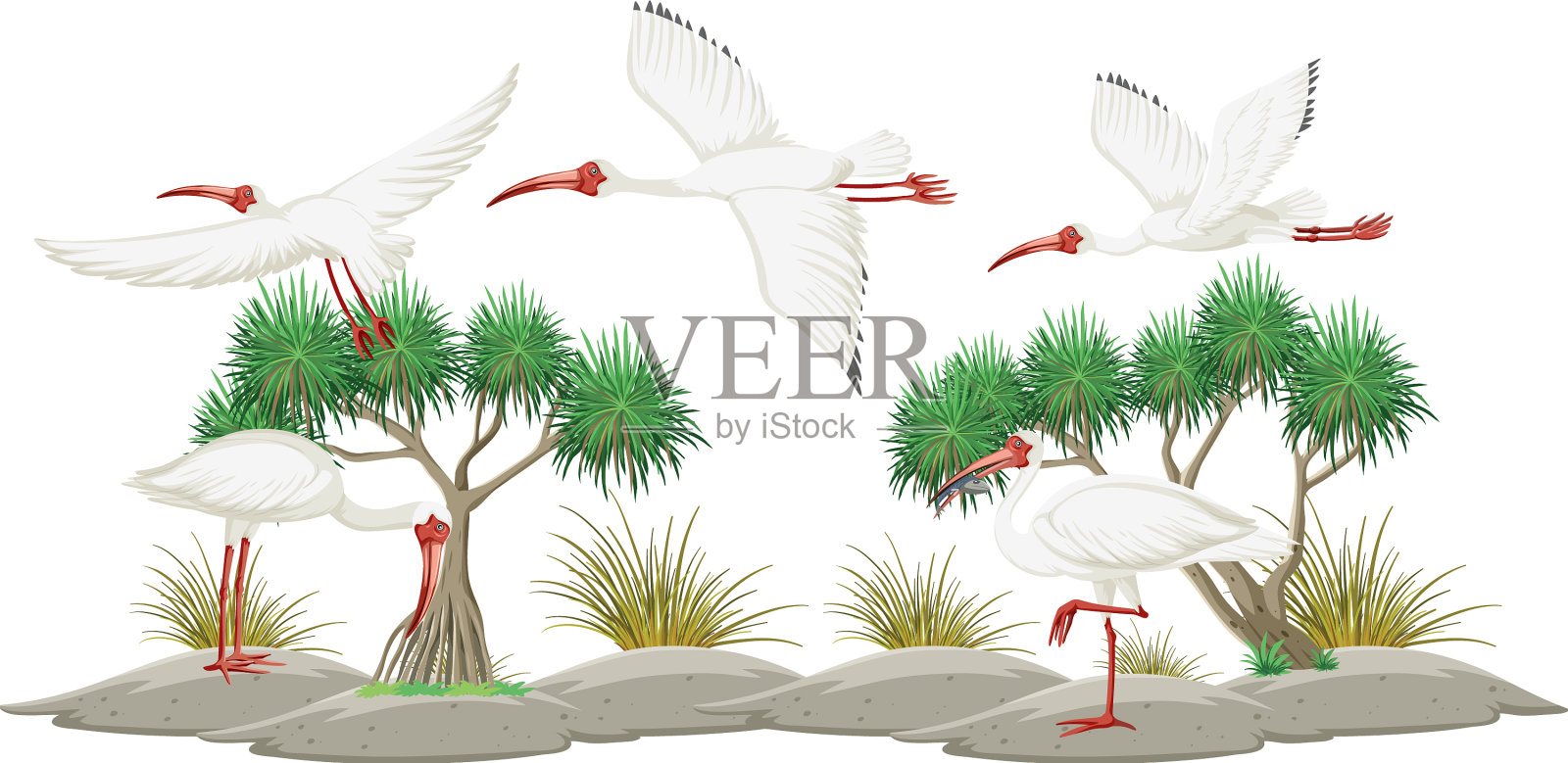 美国白底朱鹭群设计元素图片