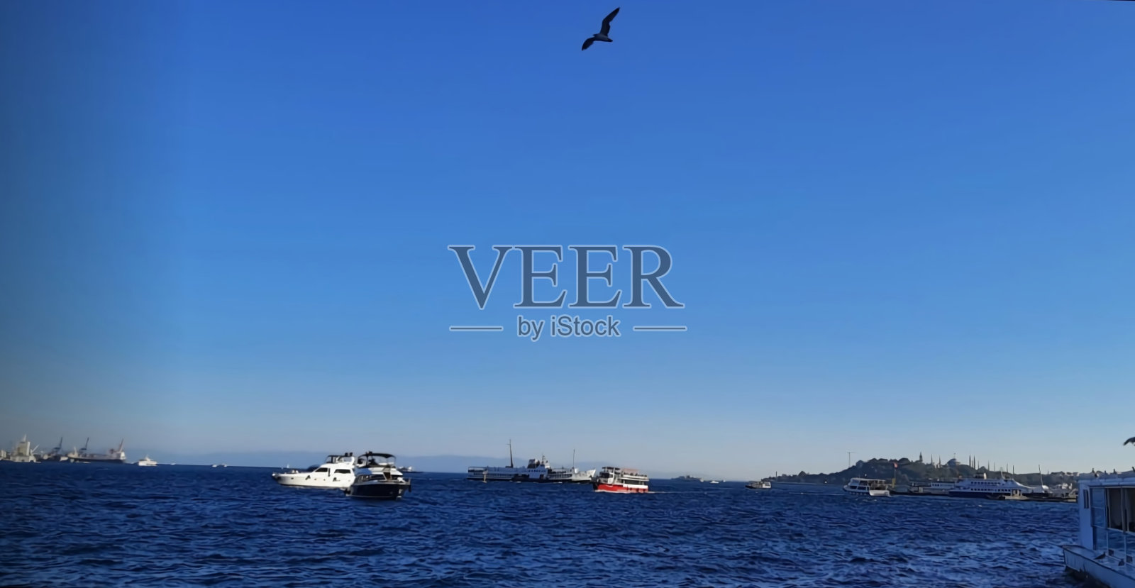 海洋和渡轮照片摄影图片