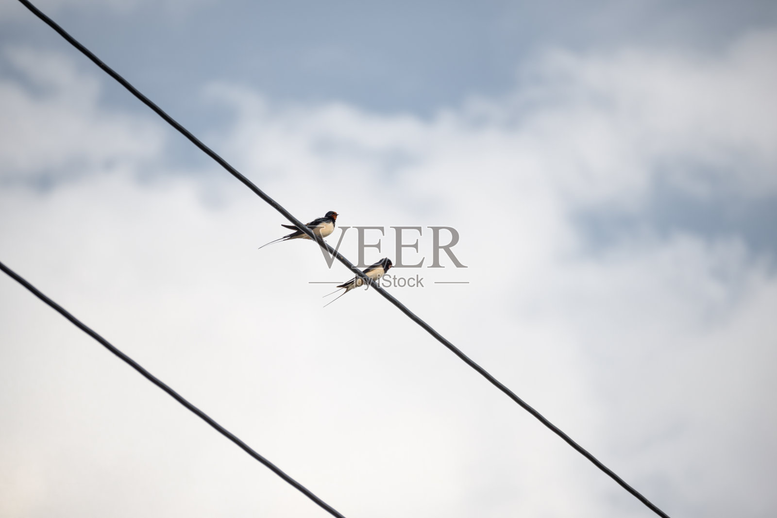 马丁吞下铁丝云照片摄影图片