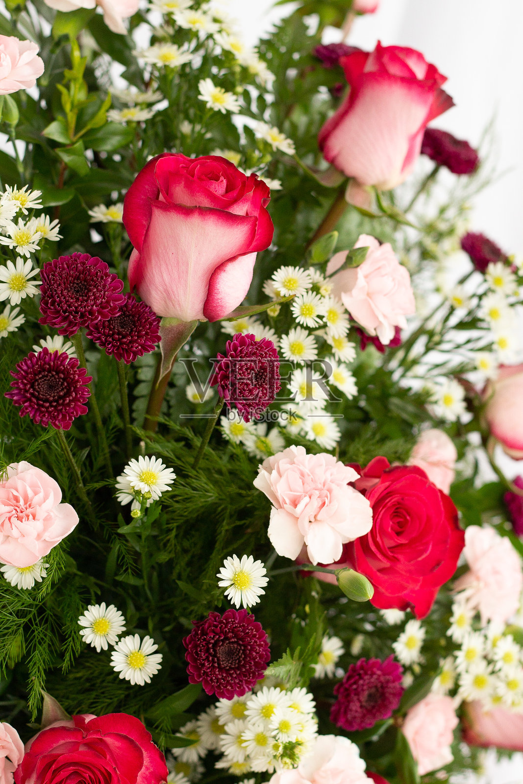 粉红色和白色的花卉排列，特写照片摄影图片