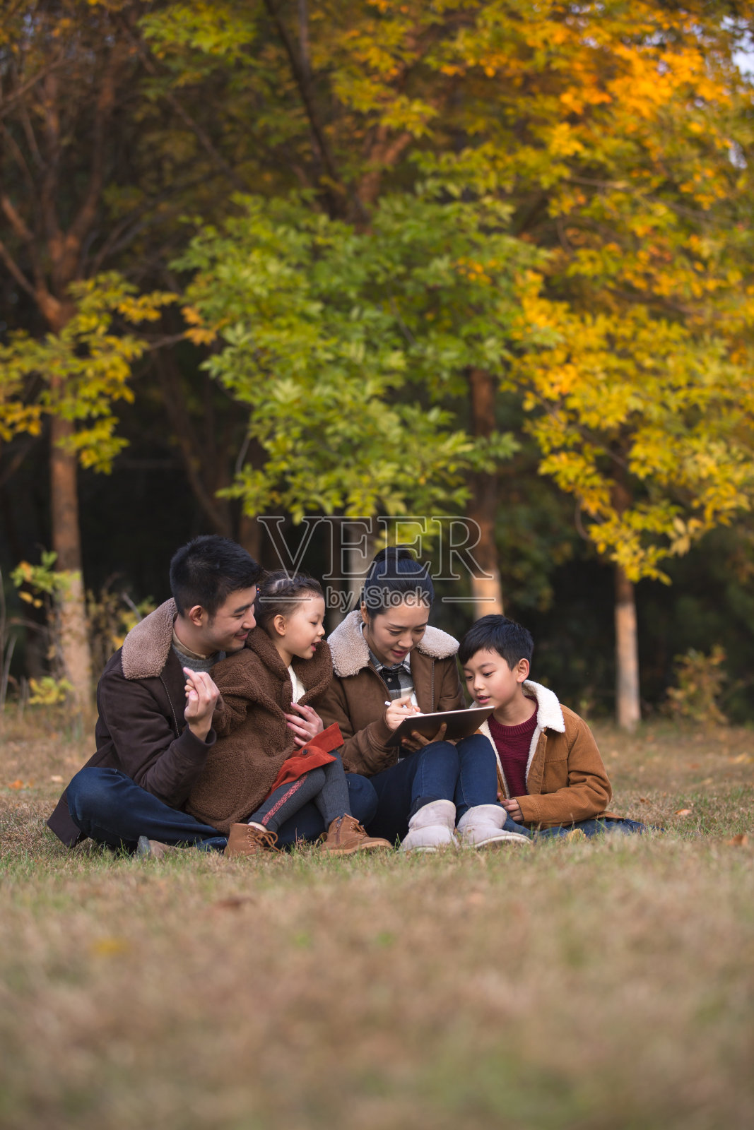 秋天，她坐在色彩斑斓的丛林草地上，看着母亲的孩子们在平板电脑上画画照片摄影图片