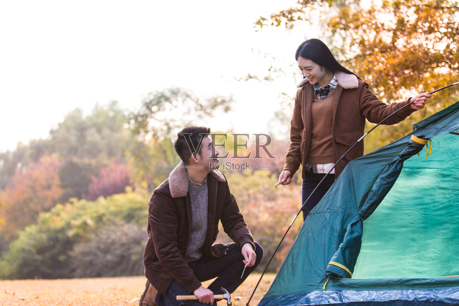 秋季丛林草地上合作搭帐篷的情侣合影照片摄影图片