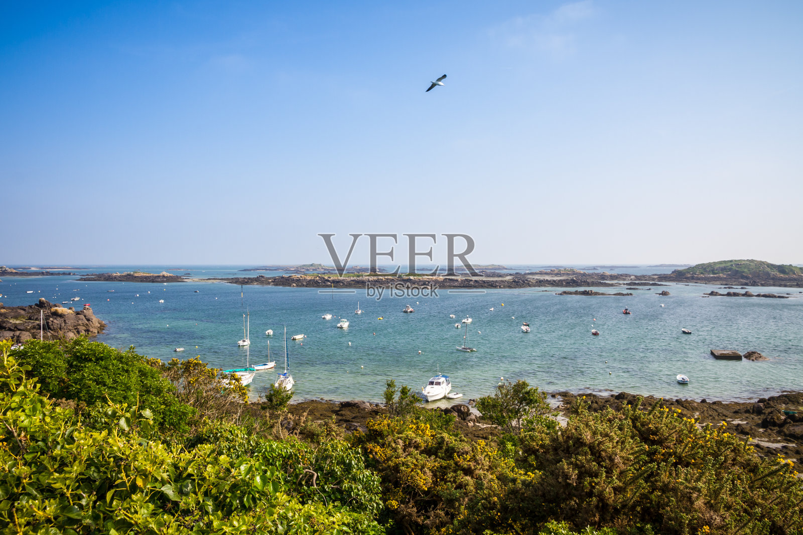 法国布列塔尼的肖西岛照片摄影图片