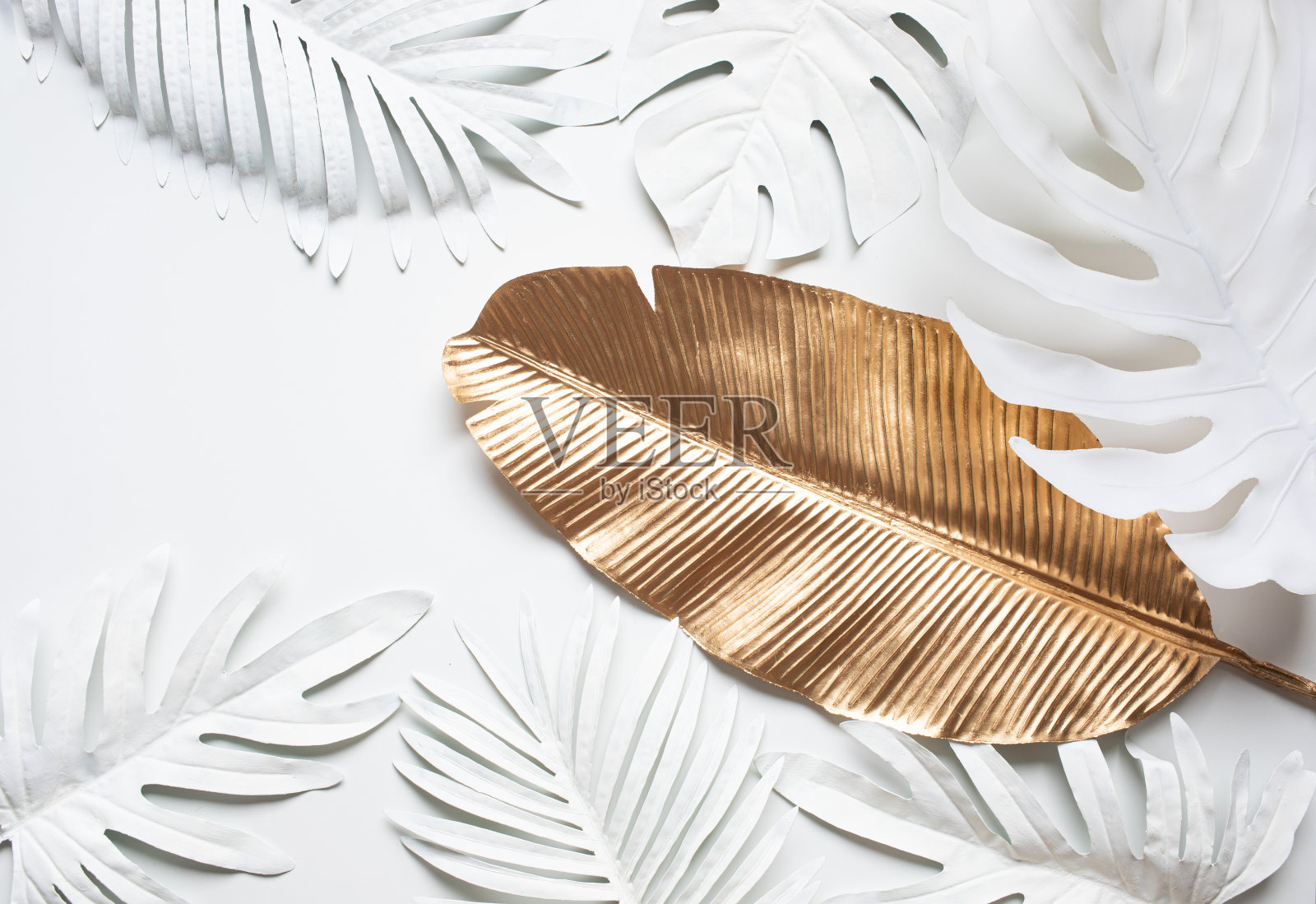 收集热带树叶，树叶优雅的风格与金色，银色的颜色。抽象的树叶装饰设计照片摄影图片