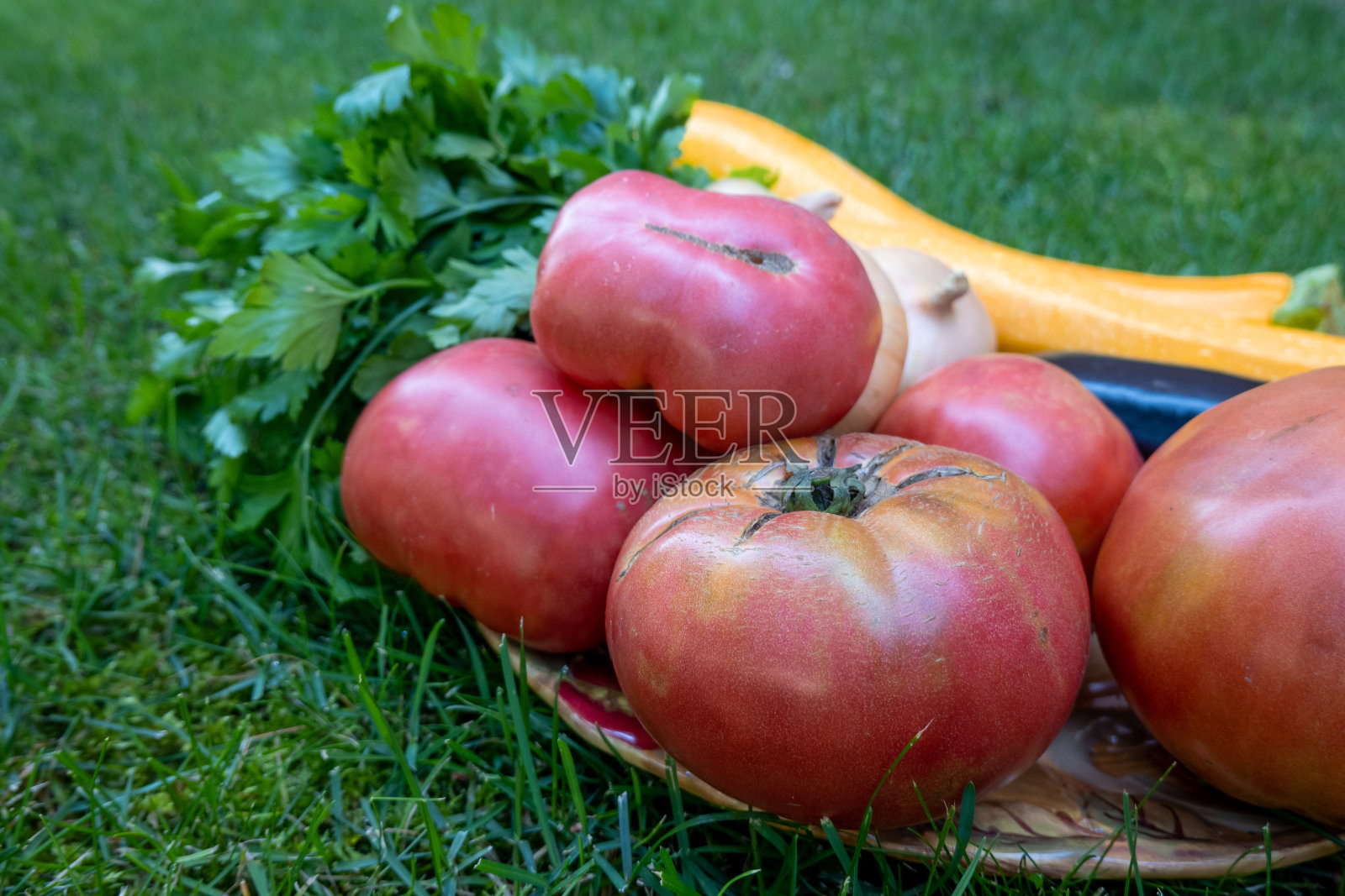 一盘新鲜成熟的蔬菜:西红柿，黄瓜，洋葱，西葫芦，西葫芦，茄子，欧芹在家。市场上的早期收获。健康饮食生活方式观念饮食营养。照片摄影图片