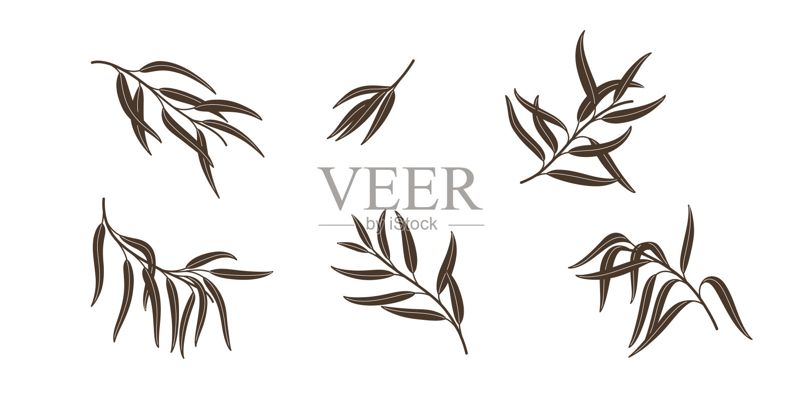 植物插画图片素材