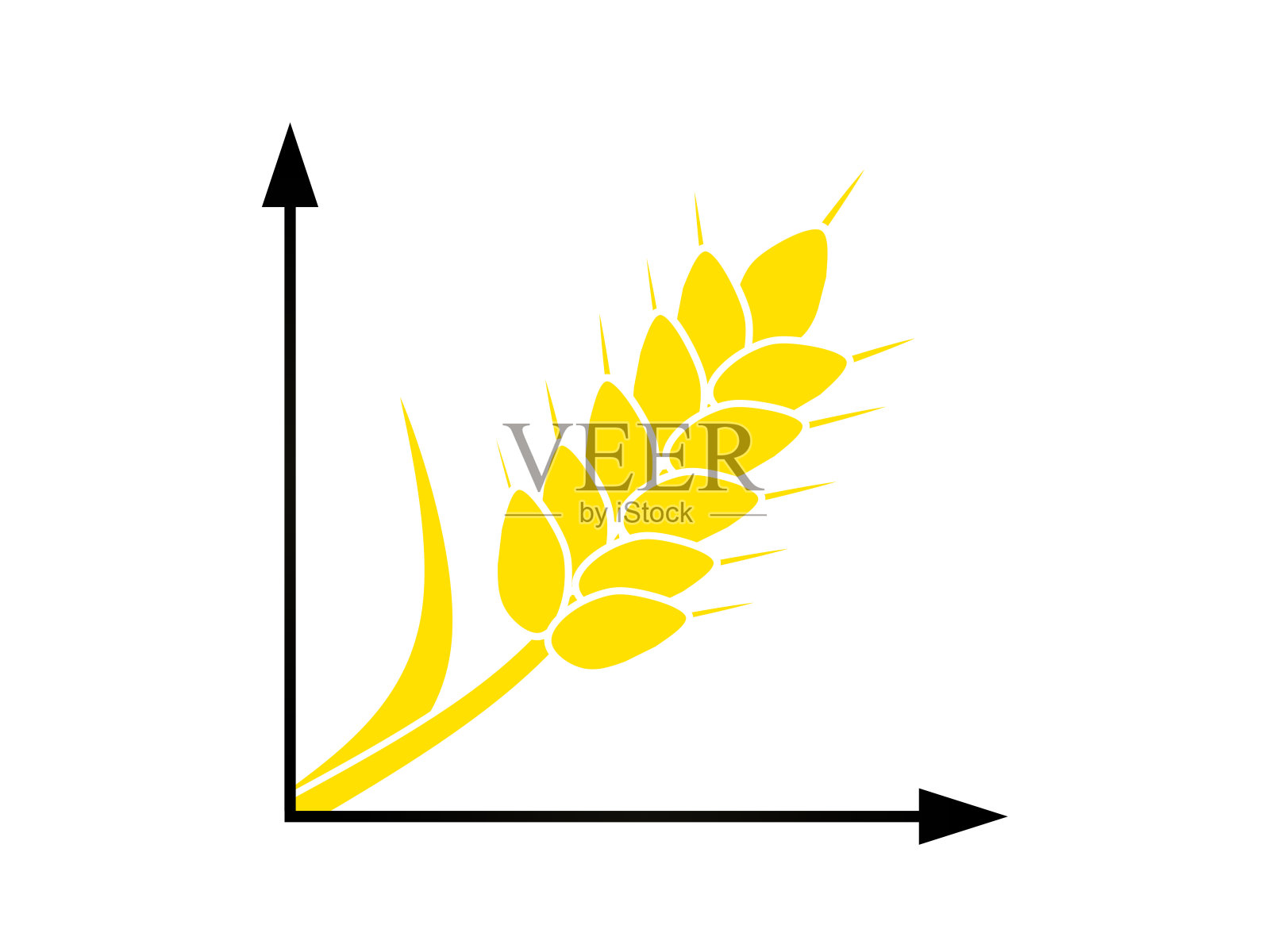 一个麦穗的图片，两个箭头代表一个图形。小麦涨价概念照片摄影图片