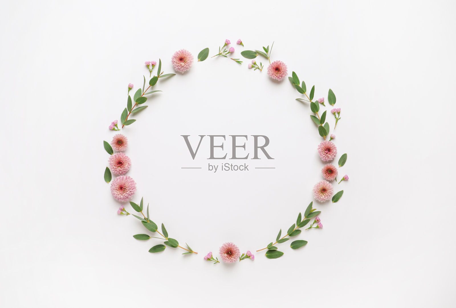 美丽的花圈和桉树在白色的背景，平坦的铺设照片摄影图片