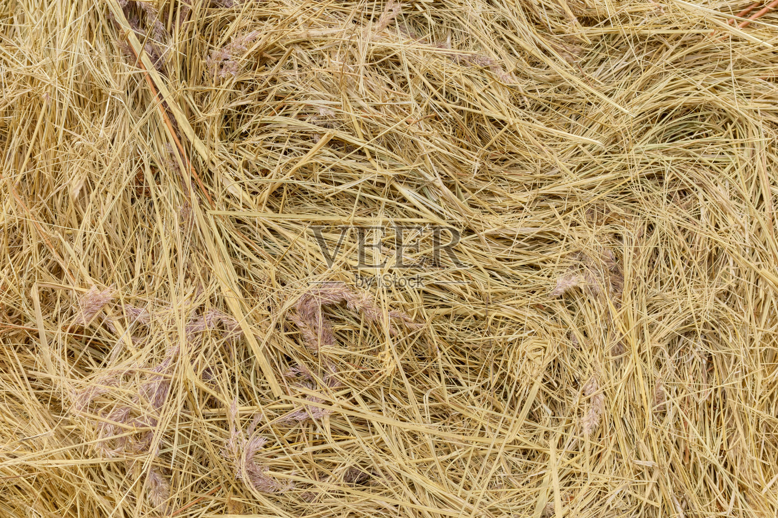 干草捆的特写图片。照片摄影图片