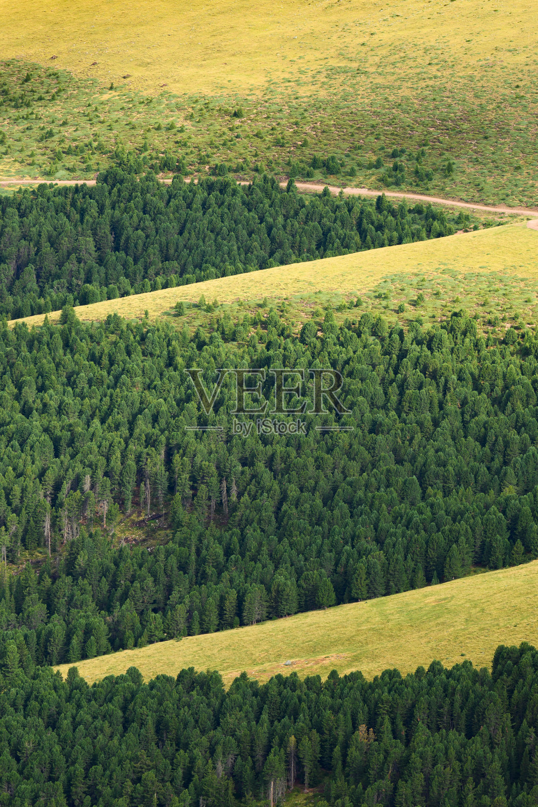 从上面看，美丽的绿树覆盖着一些美丽的山丘。白云石山脉,意大利。照片摄影图片