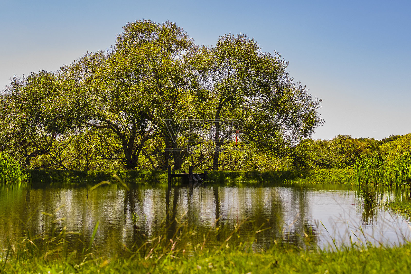 乌拉圭乡村景观照片摄影图片