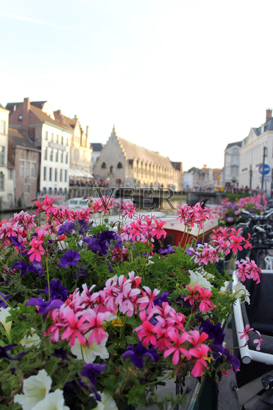 运河附近的花照片摄影图片