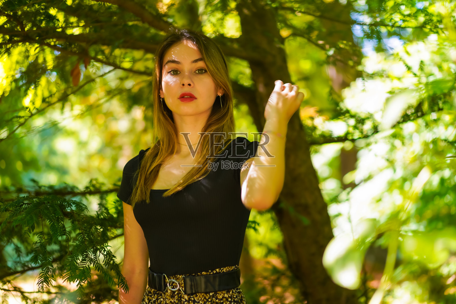 一个年轻的黑发女人在自然公园的树荫下照片摄影图片