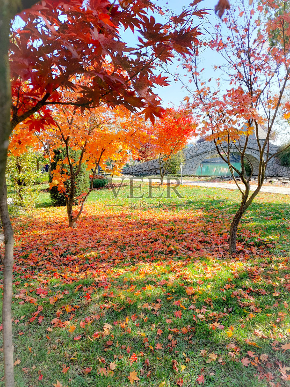 景观照片摄影图片