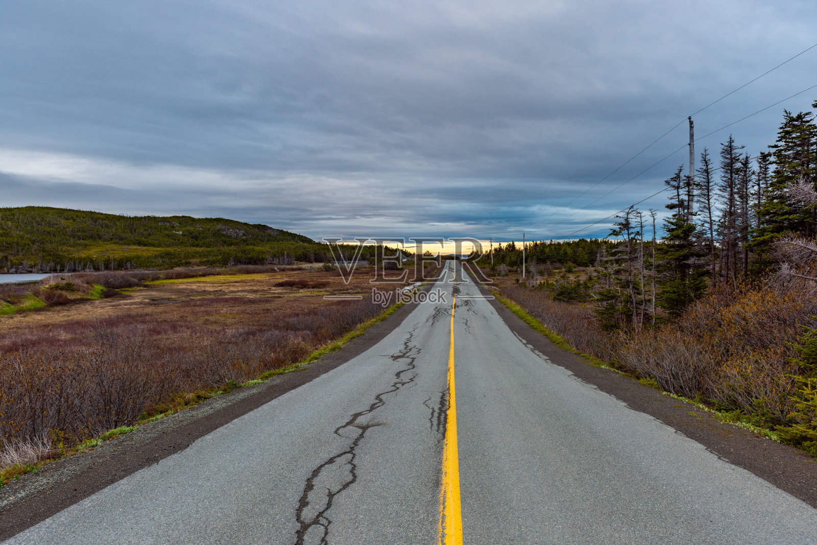 前往加拿大纽芬兰特威林盖特鸦头和长角灯塔的路照片摄影图片