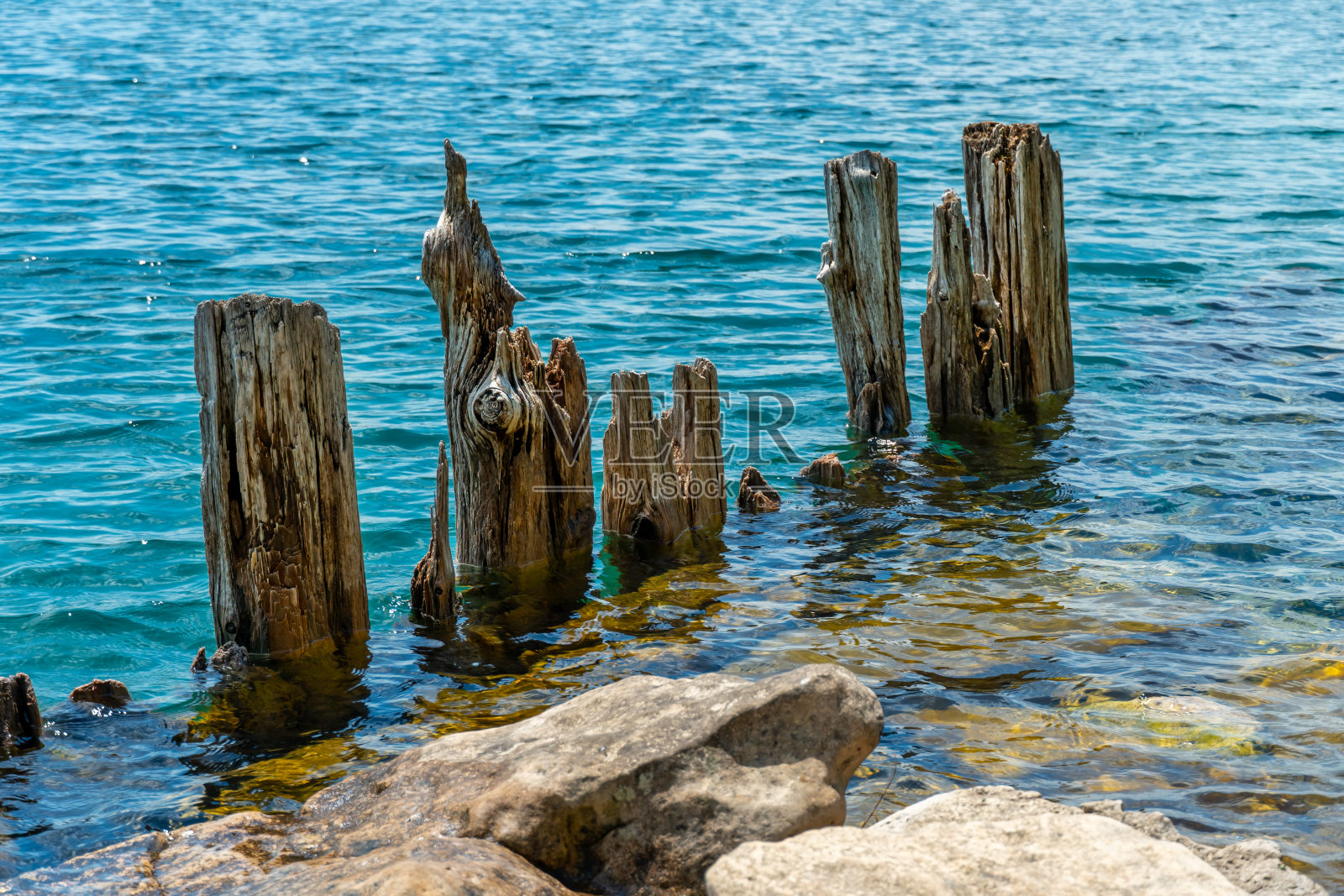休伦湖的水和老旧的枯萎的木桩或码头残骸的景观在阳光明媚的日子里在乔治亚湾附近的灵岩保护区在威顿，安大略，加拿大。照片摄影图片