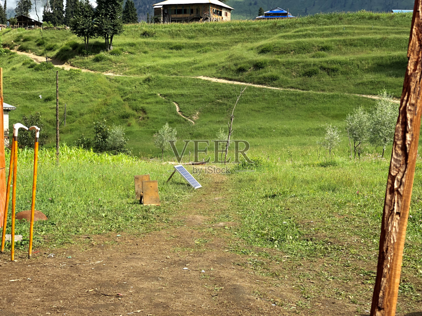 绿色田野中的小径照片摄影图片