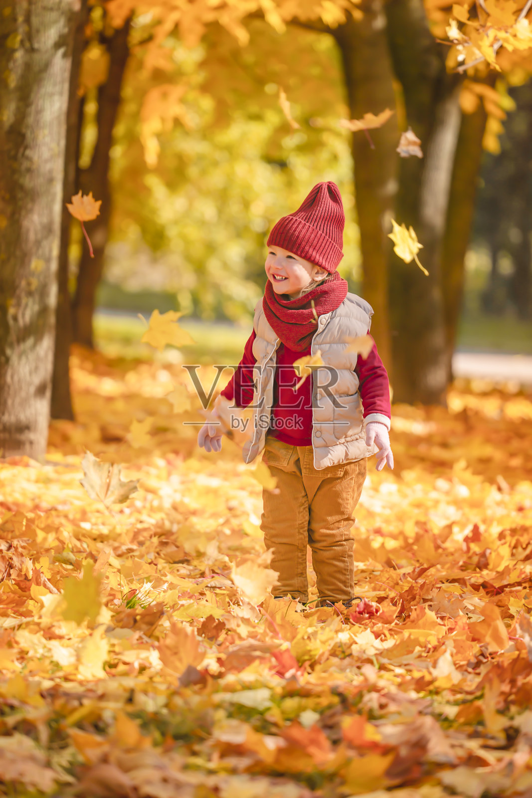 小女孩在秋天的公园里玩枫叶照片摄影图片