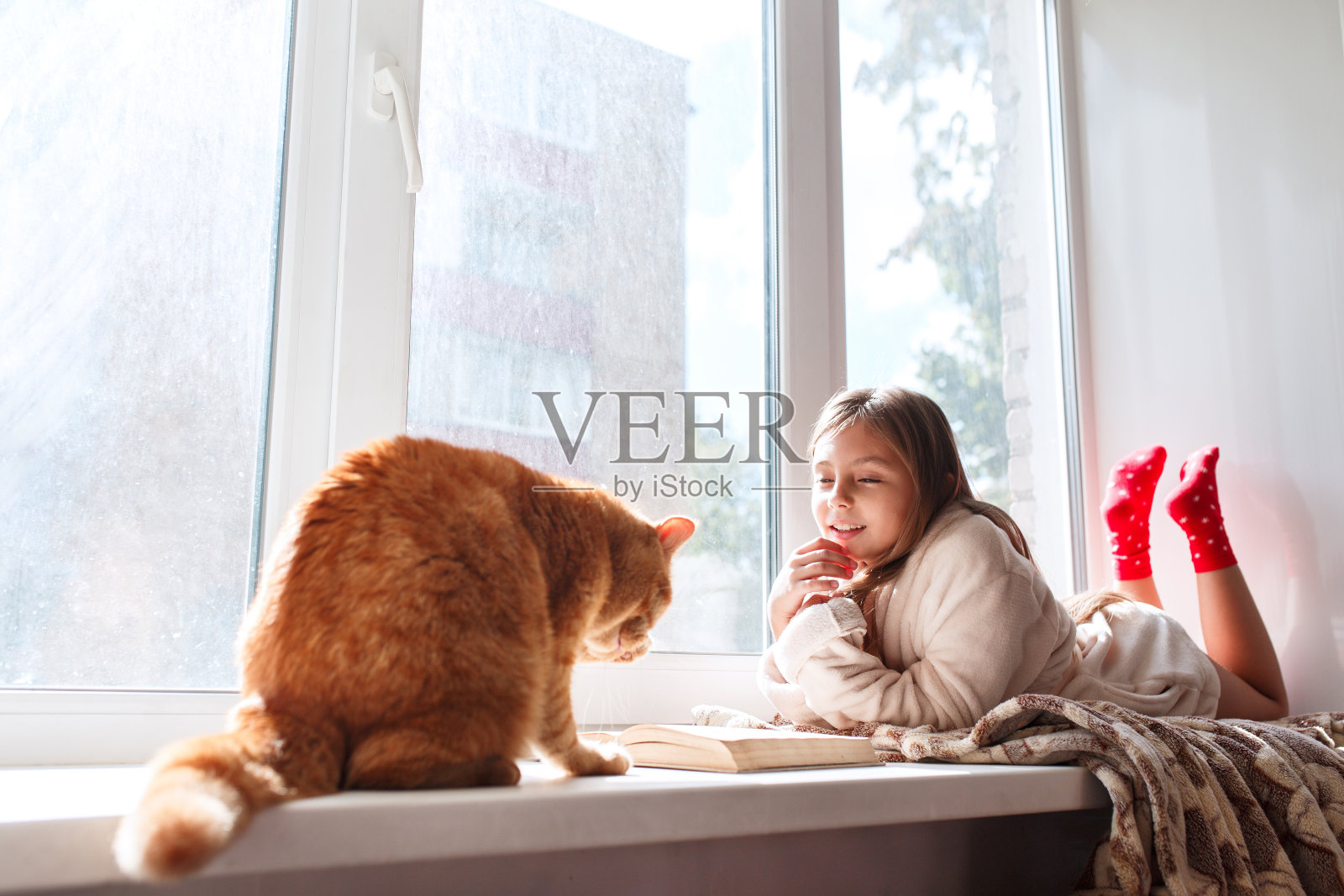 小女孩和红猫躺在窗台上看书，秋末的居家周末照片摄影图片