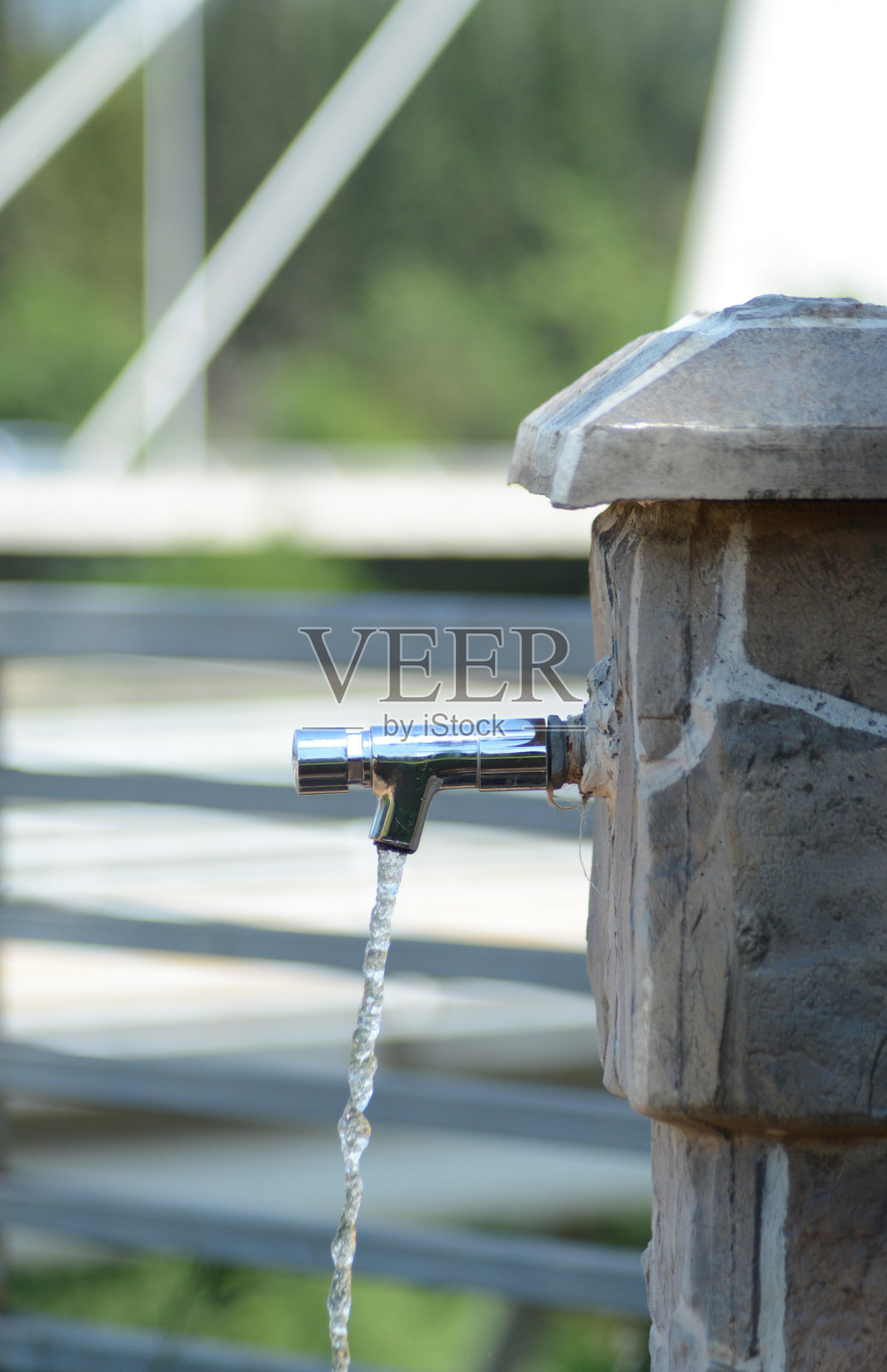 公众fauce照片摄影图片