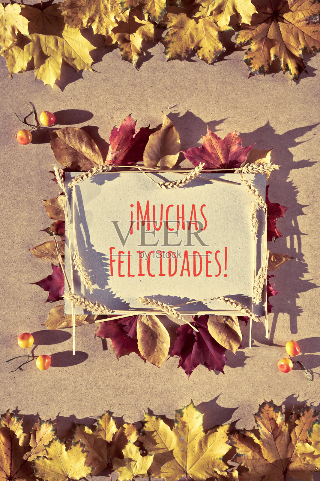 秋天的相框，字幕问候语“Muchas felicidades”在西班牙语中意味着祝贺。平铺着自然的落叶，照片摄影图片