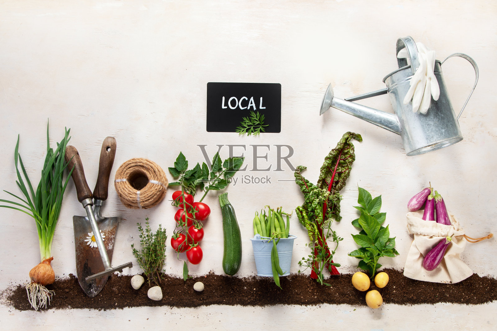 中性背景上的春季园艺组成。照片摄影图片