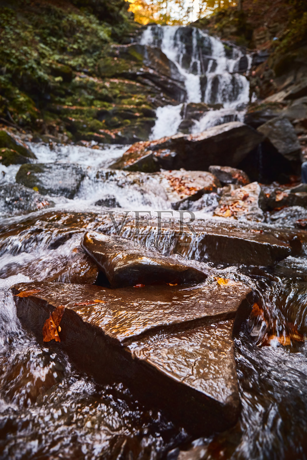 瀑布带着秋叶。喀尔巴阡山脉,乌克兰。在博尔扎瓦山脊散步和徒步。秋天喀尔巴阡山的农村地区照片摄影图片