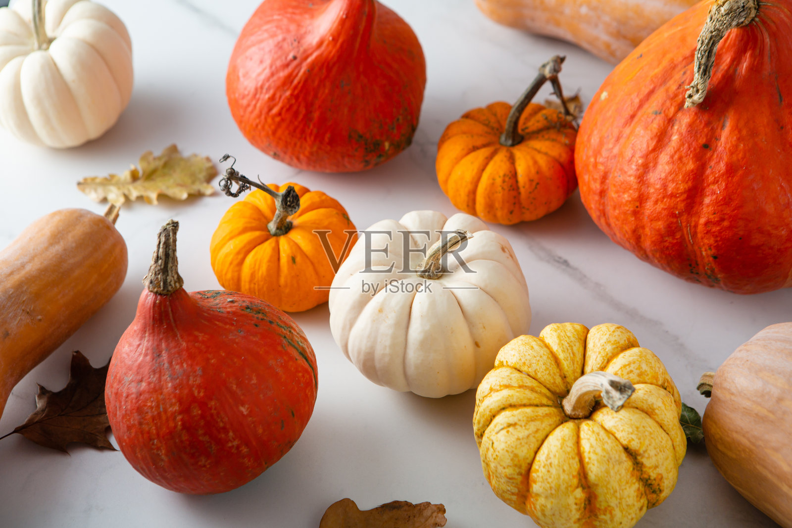 白色和橙色的南瓜设置在大理石表面的食物俯视图照片摄影图片