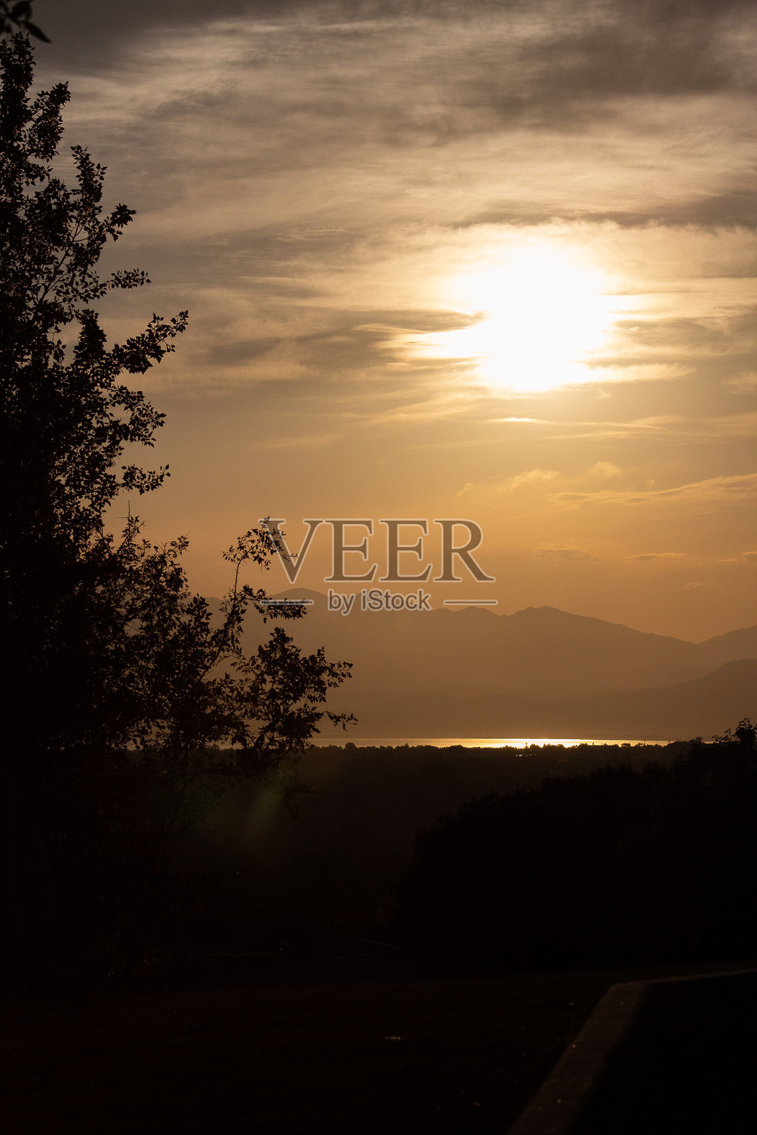 金色日落与背光树照片摄影图片