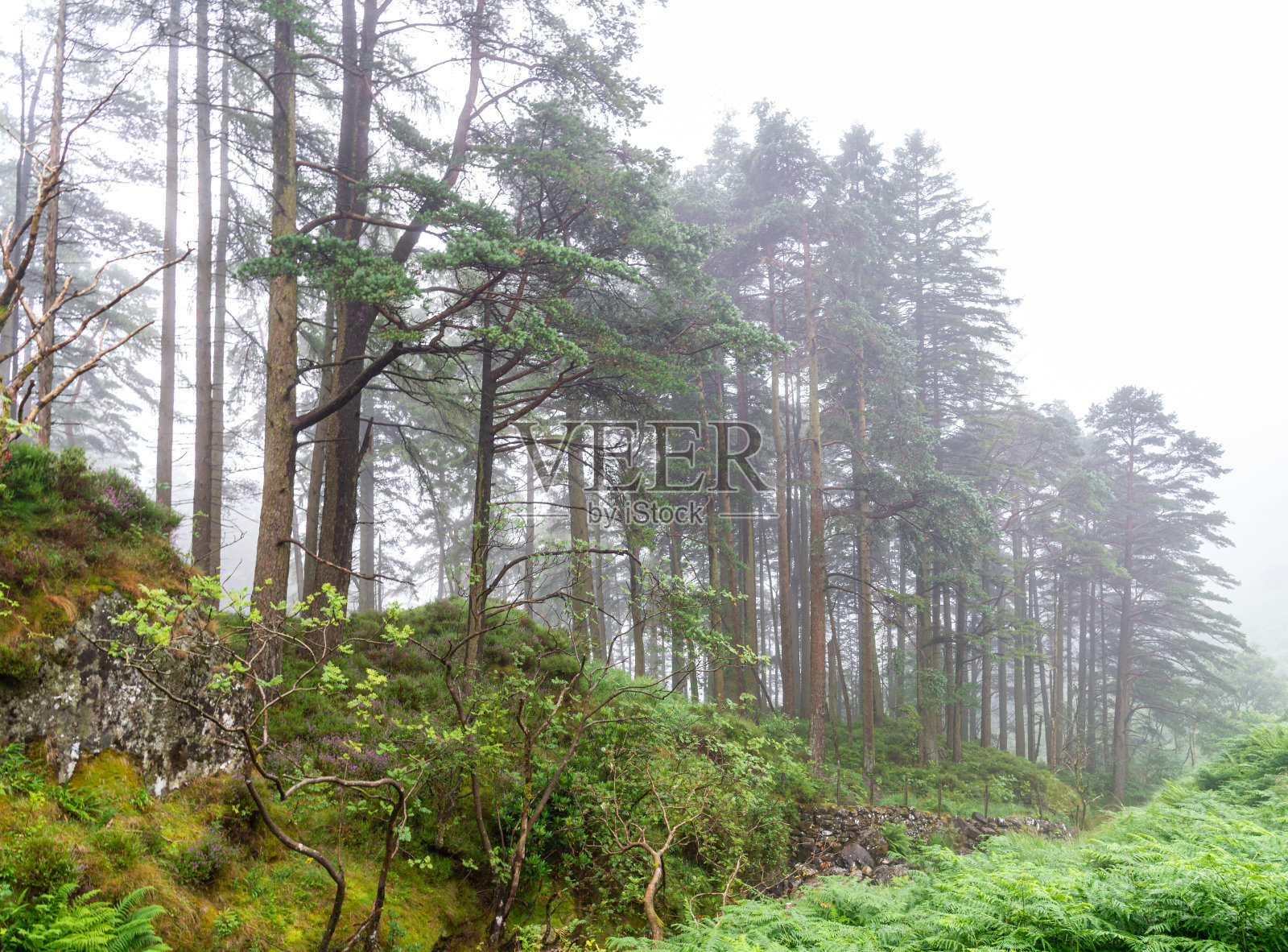 2022年，薄雾蒙蒙的早晨，在威尔士斯诺登尼亚国家公园的多尔盖劳镇附近，卡德尔·伊德里斯山和湖。照片摄影图片