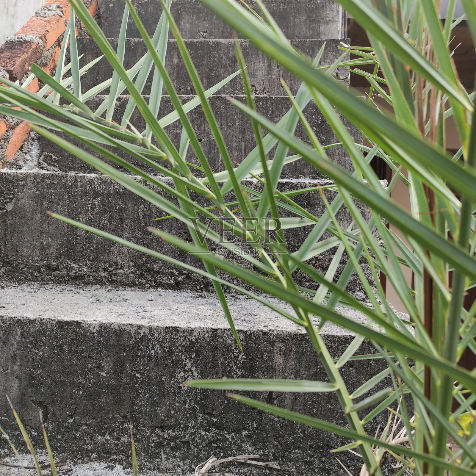 房子的楼梯是水泥做的照片摄影图片