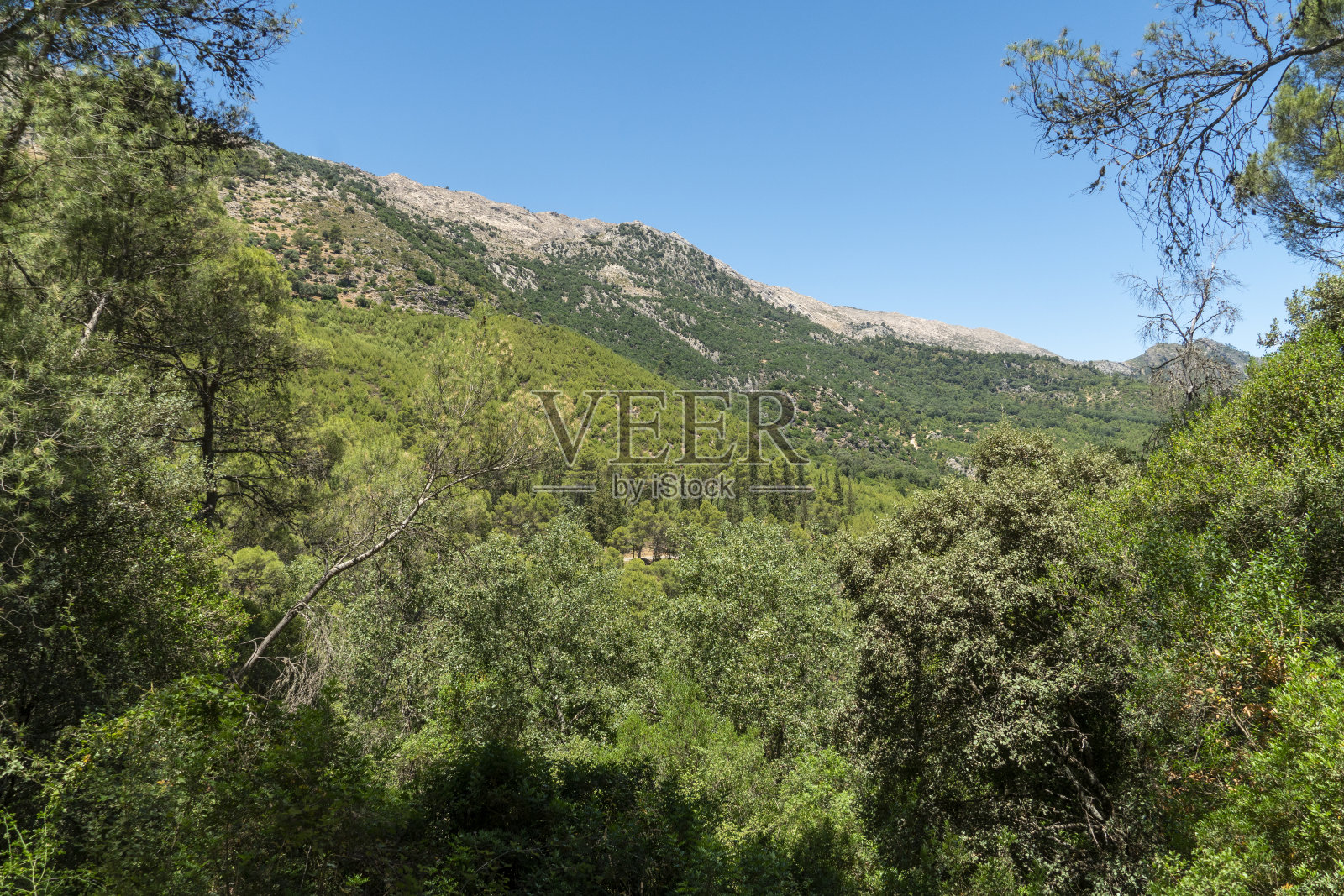 塞拉德卡索拉，卡索拉自然保护区，哈恩省，安达卢西亚，西班牙，欧洲照片摄影图片