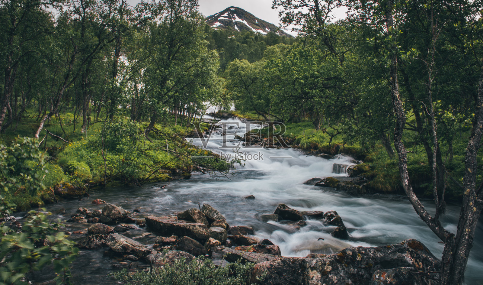 湍急的河流在绿色的树木之间在挪威的山上，背景是一座被雪覆盖的山照片摄影图片