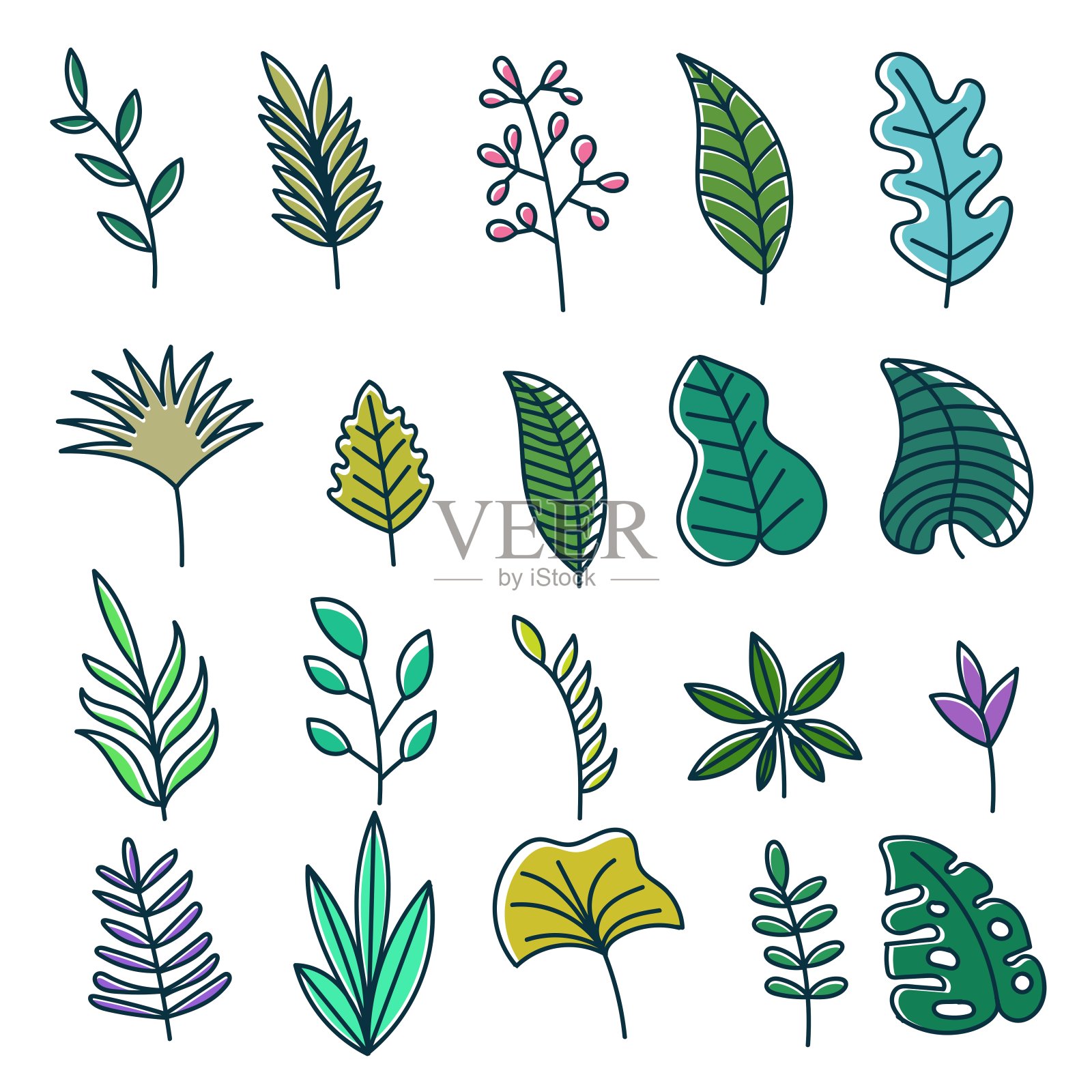 花卉自然元素装饰矢量插图插画图片素材